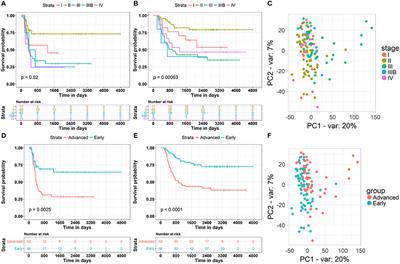 Multi-Omics Integration Reveals a Competitive Endogenous RNAs Network for the Identification of Progression Biomarkers and the Stratification of Patients Diagnosed With Nephroblastoma